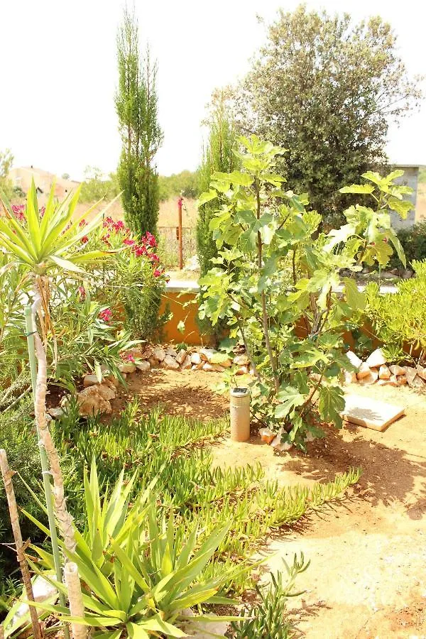 Casa Brigitte Villa Vir Holiday home